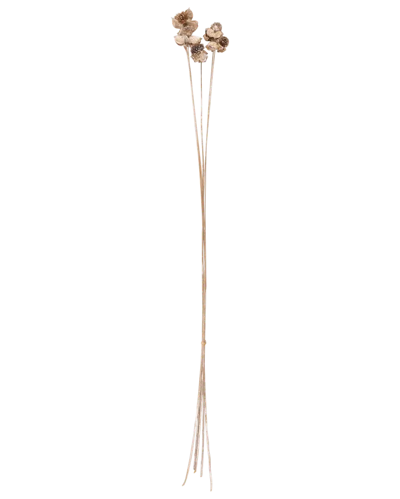 Torkade grenar silver 95-100 cm