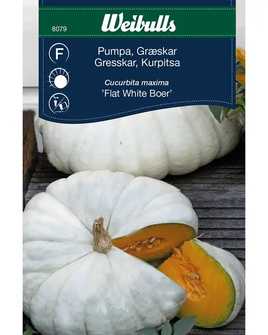 Frøportioner assorterede - prisgruppe F