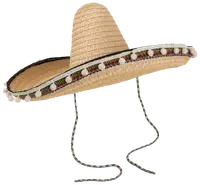 Nyårshatt sombrero