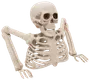 Halloween Skelet