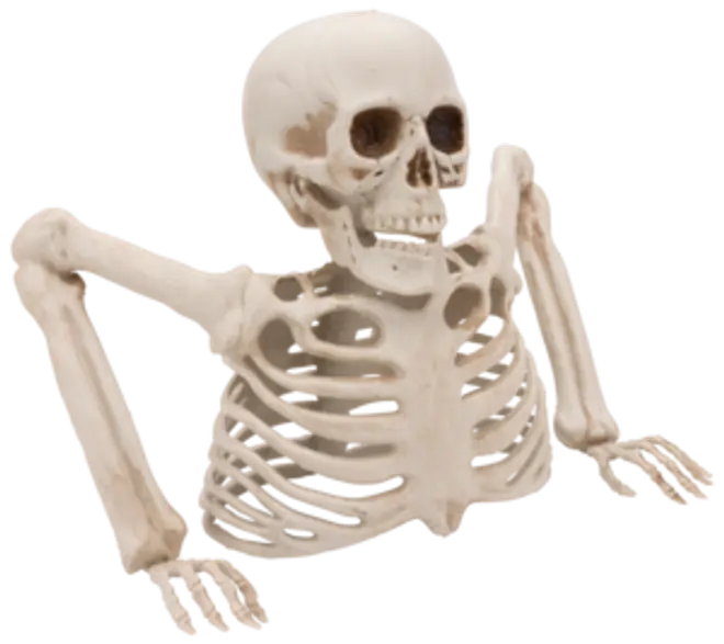 Halloween Skelet
