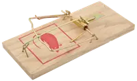 Rotteklapfælde træ