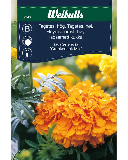 Frøportioner assorterede - prisgruppe B