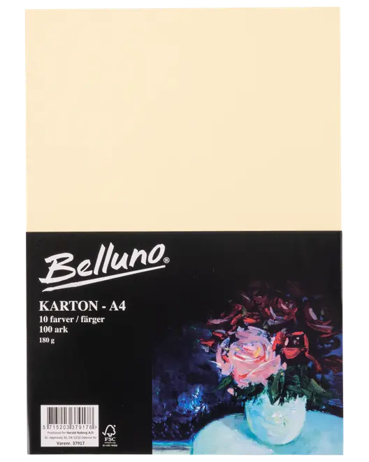 Belluno Kartong ljus 100 ark - 180 g