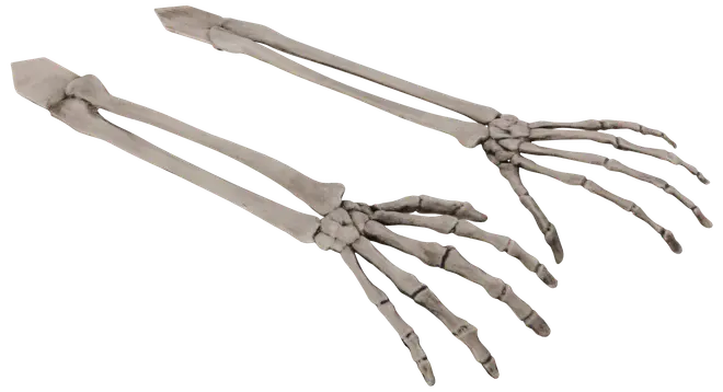 Ett par realistiska plastarmskelett med detaljerade ben och fingrar, avsedda för Halloween-dekorationer eller rekvisita. Ljusgrå färg med mörka detaljer för definition.