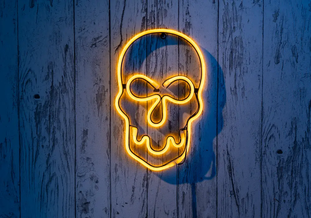 Neonskylt Dödskalle H. 30,5 cm - orange