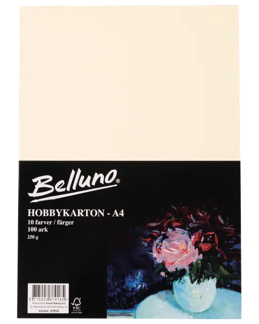 Belluno Hobby kartong ljus 100 ark - 250 g