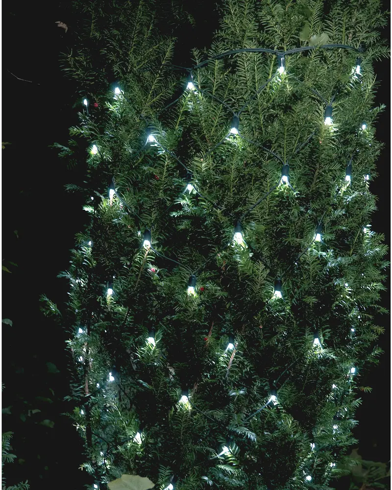 Vitt LED-ljusslinga för utomhusbruk, jämnt fördelad över en grön buske, väderbeständig och energisnål, perfekt för jul- eller festdekoration utomhus.
