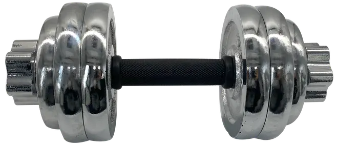 Kilberry Fitness Håndvægt krom 15 kg