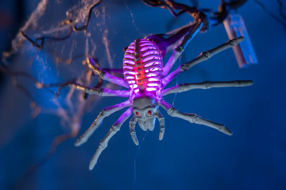 Halloween spindel LED B. 23 cm