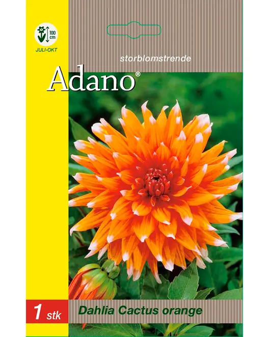 Blomsterløg assorterede varianter