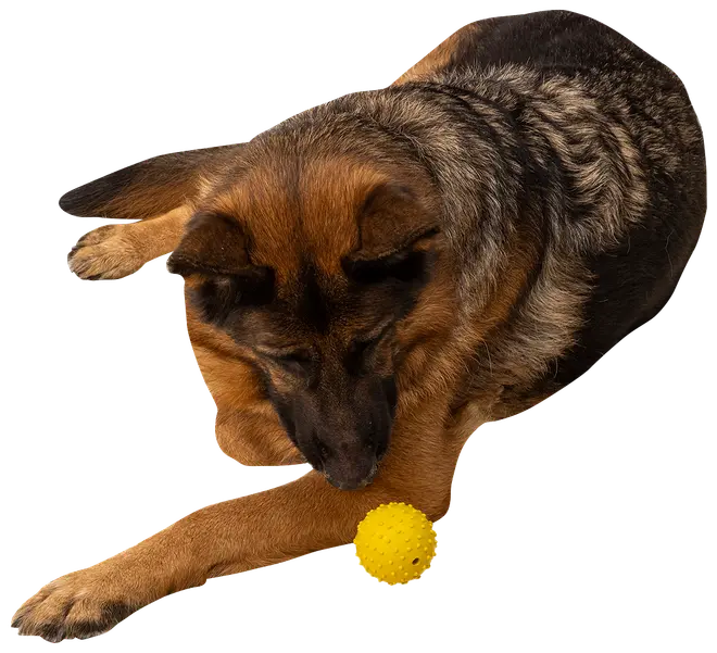 Chrisco gummiboll med klocka