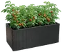 Rektangulär svart flätad planteringslåda med frodiga tomatplantor som bär röda och gröna tomater. Passar utomhus, på altan eller balkong.
