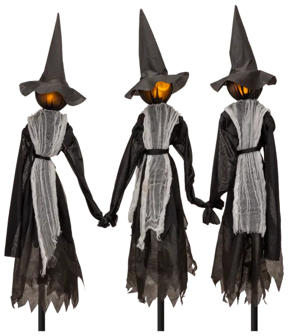 Sæt med tre Halloween-hekse med græskarhoveder, sorte spidse hatte, sorte kjoler og flossede hvide bånd, der holder hinanden i hånden. Perfekt til uhyggelig dekoration.