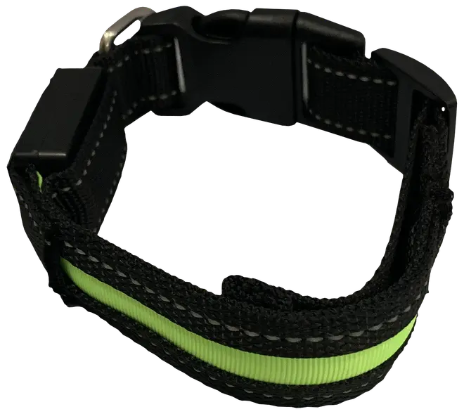 DanPet LED-halsbånd str. S