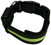 DanPet LED-halsbånd str. S