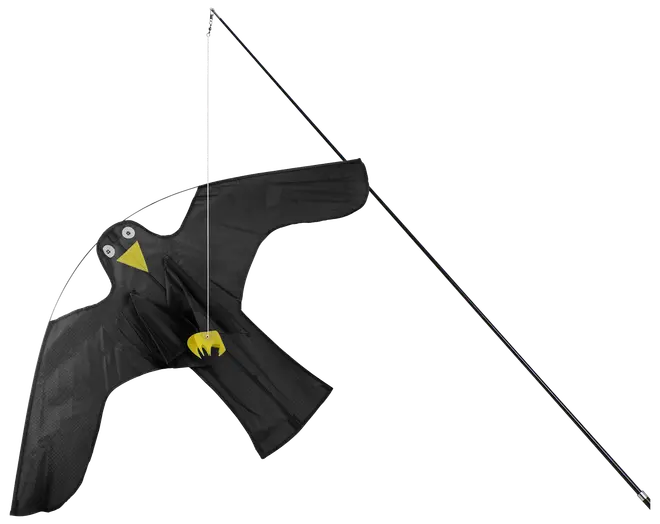 Fågelskrämma drake