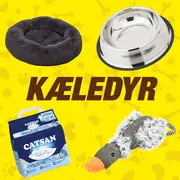 Kæledyr