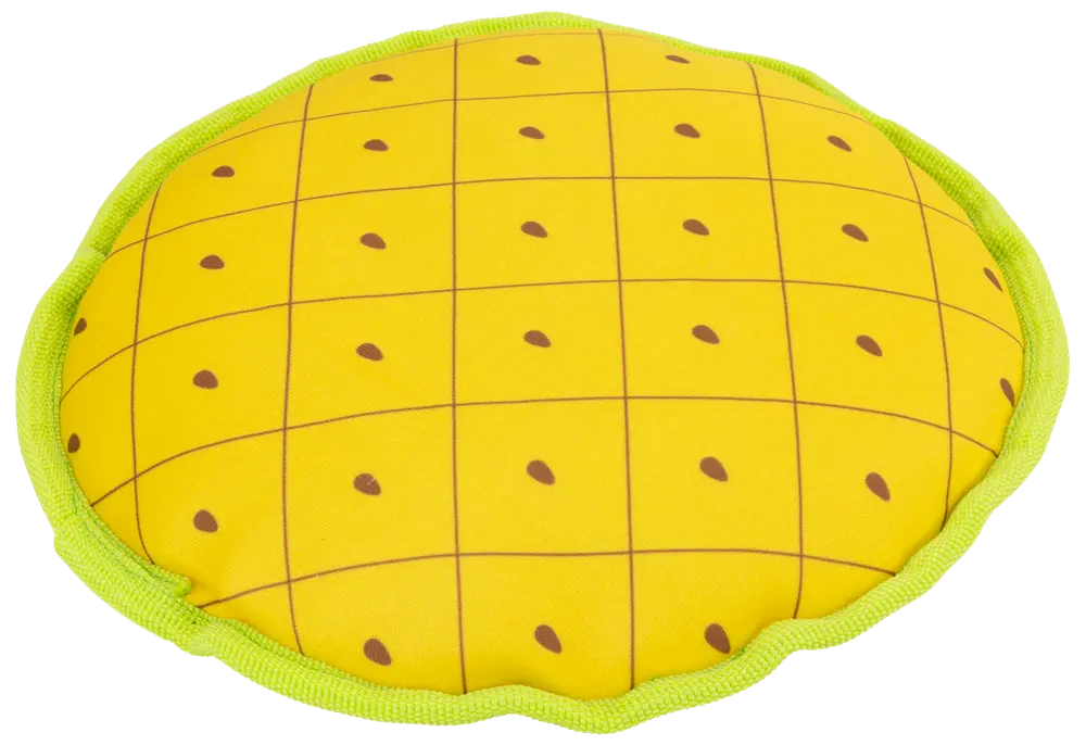 DanPet Hundelegetøj marked B - assorterede designs