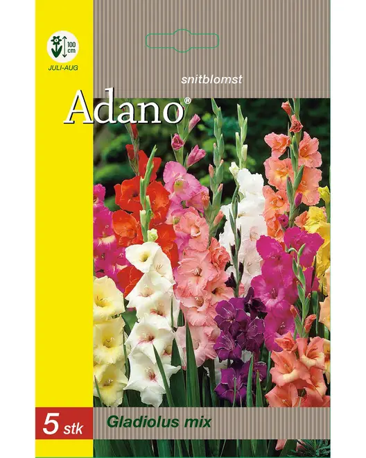 Blomsterløg assorterede varianter