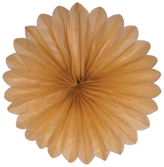 Vifte Ø30 cm guld 2-pak