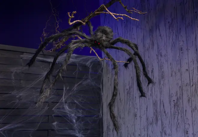 Stor Halloween-spindel med långa, böjbara, lurviga svarta ben och röda ögon. Perfekt för upphängning och att skapa en kuslig stämning inomhus.