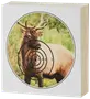 Pilbågsmål med tryckt bild av älg och poängringar över vitala områden, utformat för övningsskytte och förbättrad precision med båge eller armborst.