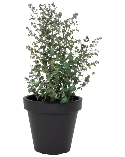 Kruka 30 cm antracit