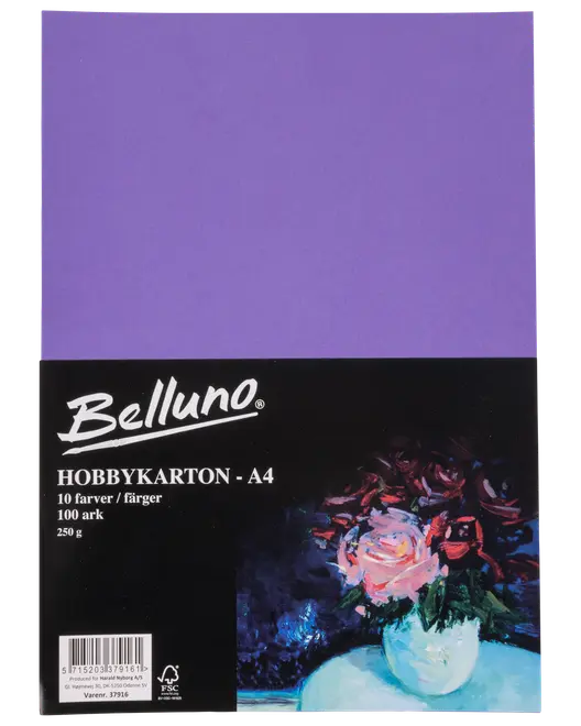 Belluno Hobby kartong original 100 ark - 250 g
