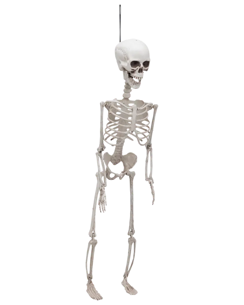 Halloween-skelett 70 cm