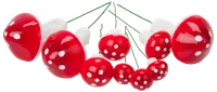 Dekorationssvampar