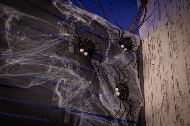 Halloween-dekoration med tre stora svarta, ludna spindlar med vita ögon och långa ben, fästa på en vägg med konstgjorda spindelnät för kuslig effekt.