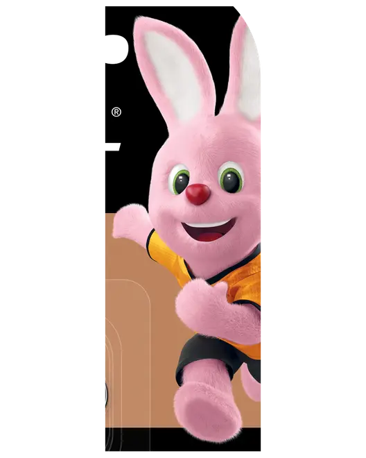 DURACELL LR44 2-pack