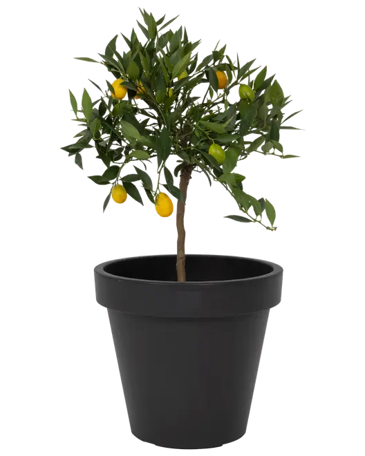 Kruka 40 cm antracit