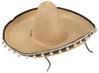 Nyårshatt sombrero