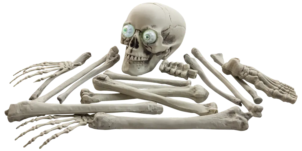 Skelettdelar 18 st halloween