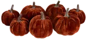 Set med åtta sammetslena pumpor i mörk rostfärg med realistiska bruna stjälkar, mjuk yta, olika storlekar, perfekta för höst- eller Thanksgiving-dekoration.
