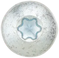 Panskrue 5,0 x 50 mm TX25 50 stk. 