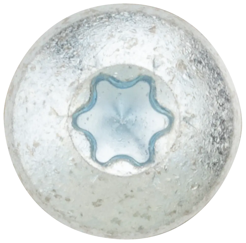 Panskrue 5,0 x 50 mm TX25 50 stk. 