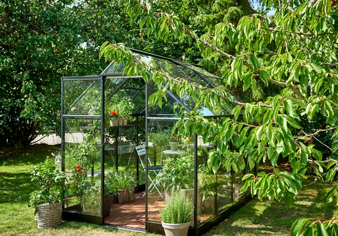 Halls Drivhus Qube 68 + hærdet glas - sort