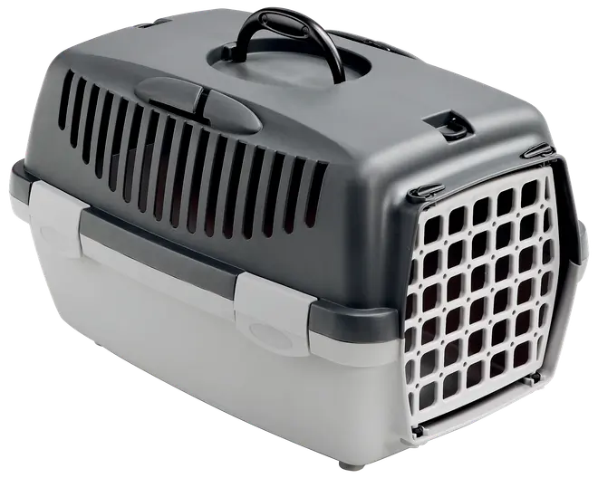 Gulliver Transportbur S