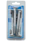 Vagnsbult med mutter M10x100