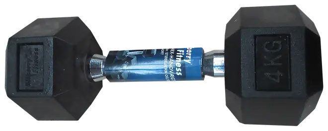 Kilberry Fitness Håndvægt Hexagon 4 kg