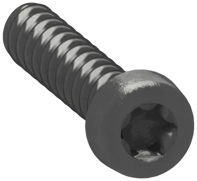 LK FUGA Skrue torx10 til monteringsramme 20-pak