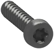 LK FUGA Skrue torx10 til monteringsramme 20-pak