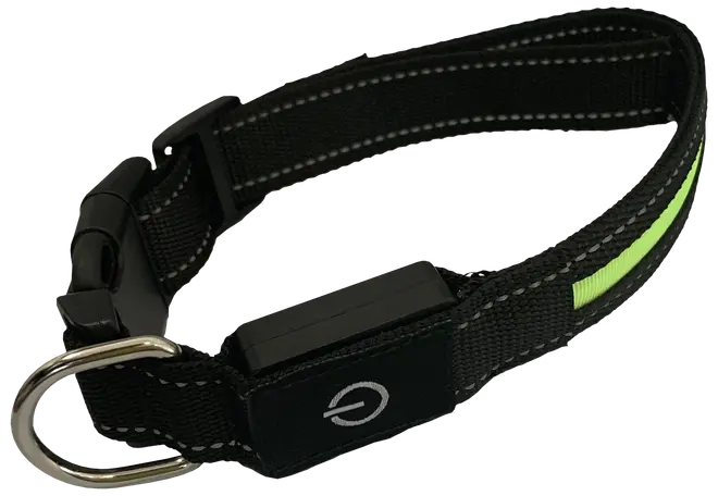 DanPet LED-halsbånd str. M