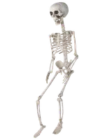 Halloween-skelett med jordspett H. 74 cm
