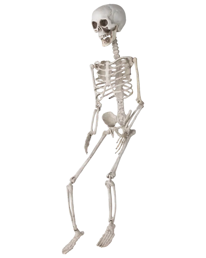 Halloween-skelett med jordspett H. 74 cm