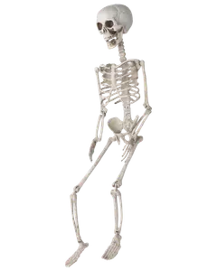 Halloween-skelett med jordspett H. 74 cm