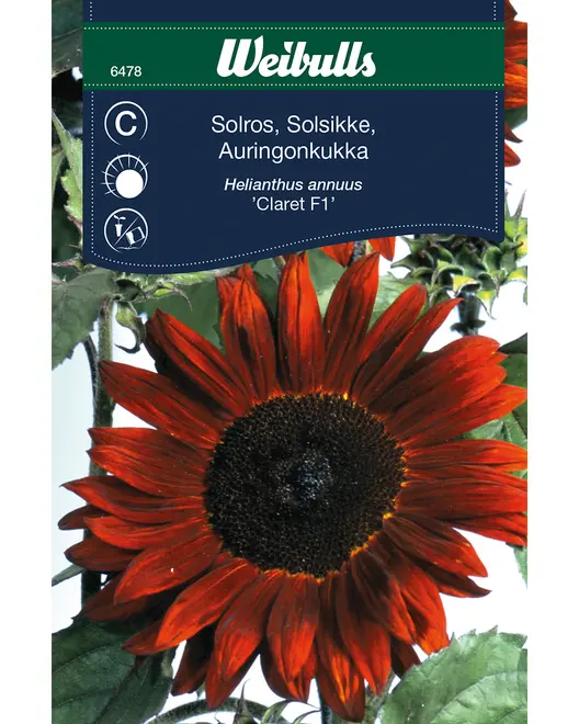 Frøportioner assorterede - prisgruppe C